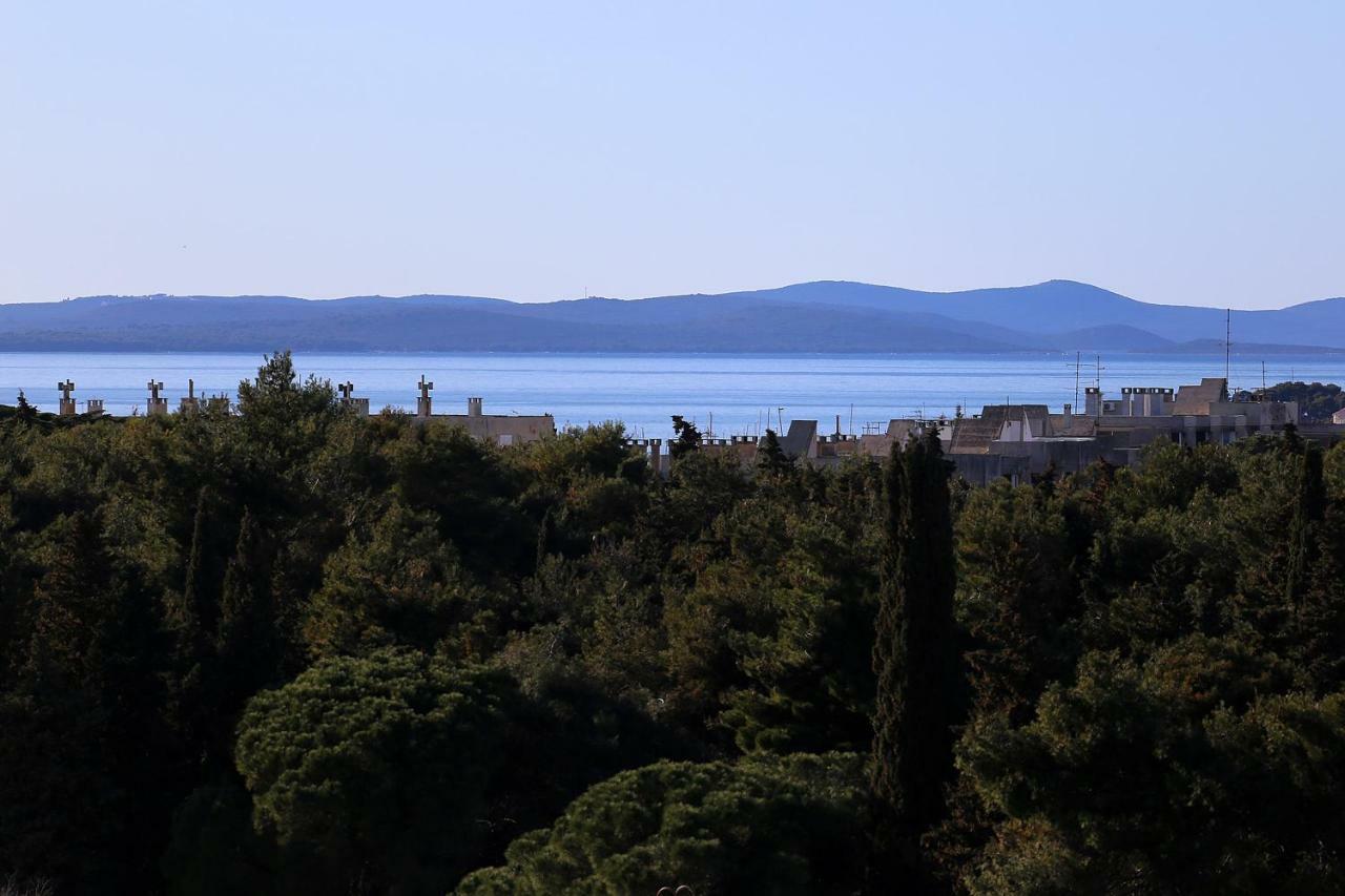 Iva Zadar